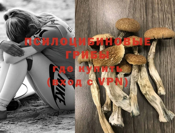 бутират Заводоуковск