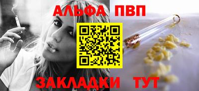 индика Гай