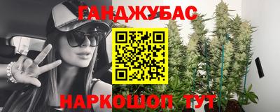 прущие грибы Гагарин