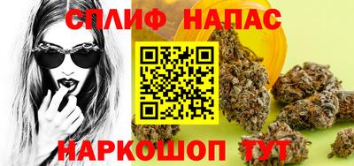 прущие грибы Гагарин