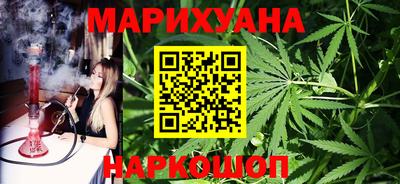 индика Гай