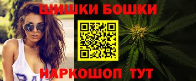индика Гай