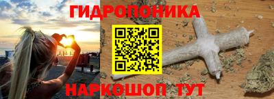 прущие грибы Гагарин