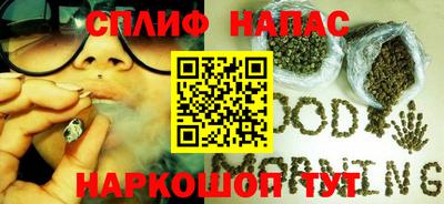 прущие грибы Гагарин