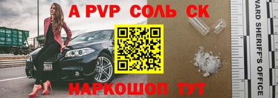 индика Гай