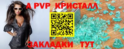 индика Гай