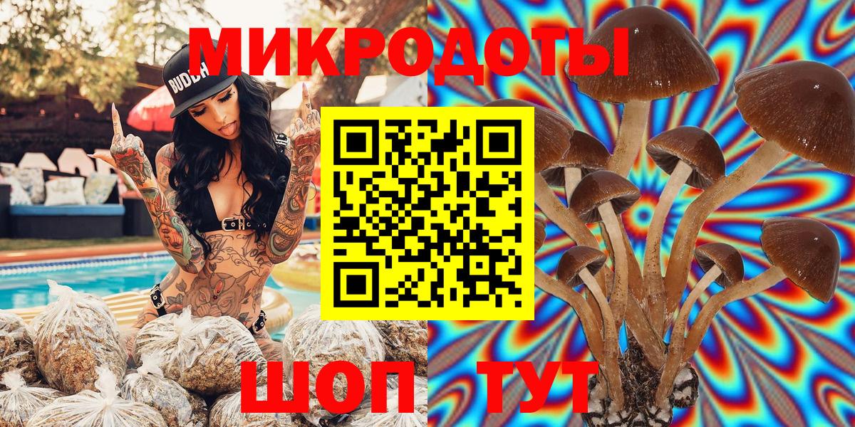 Псилоцибиновые грибы мицелий Зеленокумск